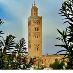 Marrakech Activities 2025
